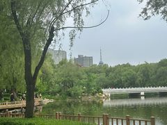 -长春市南湖公园