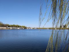 -大兴滨河森林公园