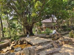 -西双版纳傣族园