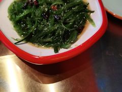 -向外鱼乐·土菜·虹鳟鱼