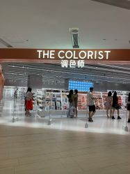 -THE COLORIST调色师