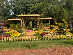 -上海共青森林公园