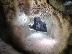 -湖南省地质博物馆