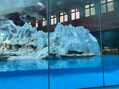 -帝企鹅自助餐厅•儿童岛•真企鹅(长隆企鹅酒店)