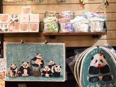 -轩客会(熊猫书店)