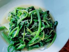 清炒油麦菜-老唐三下锅 ·张家界地标美食(溪布街店)