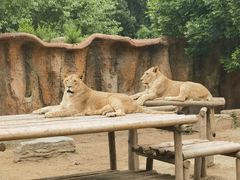 -北京野生动物园