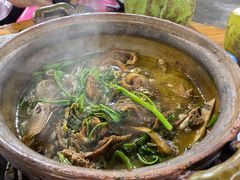 -霞姐屯昌枫木香草鸭店(海螺店)
