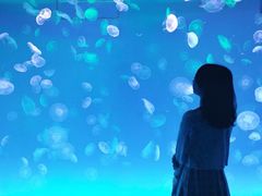 -多彩贵州城极地海洋世界