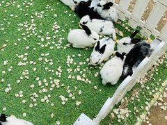-太阳宫公园