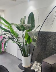 -春田皮肤管理中心品牌旗舰店