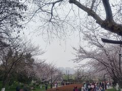 -堤角公园