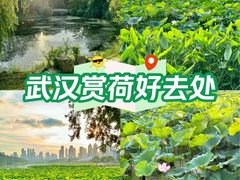 -古琴台