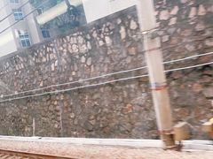 -芳村(地铁站)