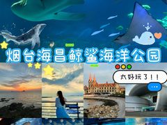 -烟台海昌鲸鲨海洋公园