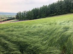-富田农场