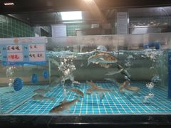 -上荔晶·土菜馆(古田店)
