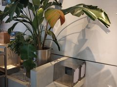 -喜茶(上海五角场万达店)