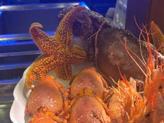 -阳光岛·海鲜盛宴(银泰中心in99店)