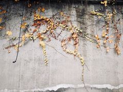 -四川邮电职业技术学院