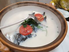 -全乐鱼馆·淳牌有机鱼直营店