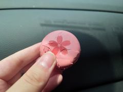 玫瑰马卡龙-PAUL LAFAYET 法式甜品(港汇广场店)