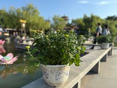 -中国翰园碑林