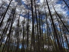 -硗碛藏寨·神木垒景区