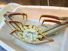 -本达人海鲜烧烤·朝鲜族风味(发展店)