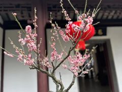 -拙政园