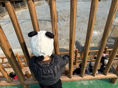-无锡动物园·太湖欢乐园
