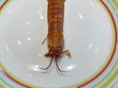 -开海·红岛海鲜虾水饺(石老人店)