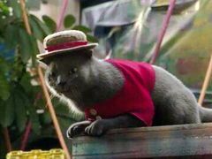 -佳兆业国际影城(鞍山店)