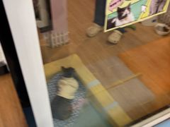 -联合动物医院(光谷诊疗中心)