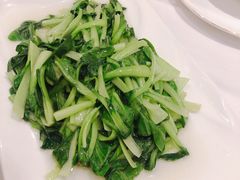 鸡毛菜百叶丝-道道鲜·崇明私房菜(五角场店)