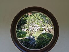 -深圳仙湖植物园
