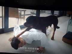 -卢米埃影城(长楹天街IMAX激光店)