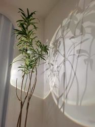 -乐橙肌愈·屏障修护专研所