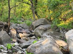 -小土豆北方菜馆(文慧园店)