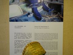 崇明县城桥镇友谊村采访实录-徐汇艺术馆