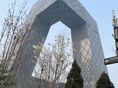 -中央广播电视总台(光华路办公区)