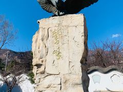 -北京鹫峰国家森林公园