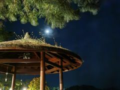 -千岛湖君澜度假酒店(文广轩中餐厅)
