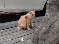 -汗水空间私教健身连锁(SM广场店)