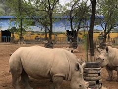 -西安秦岭野生动物园