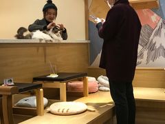 -滚猫咖啡·猫咖·猫友好撸猫(未来城店)