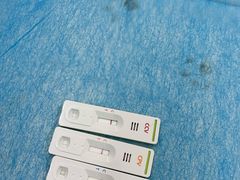 -北京恒爱动物医院(清景园分院)