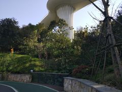 -飞凤山奥体公园