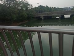 -南翔镇银翔湖公园
