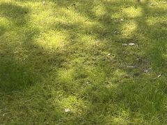 -山明水秀大饭店